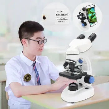 2000X Binokulinis Mikroskopas su LED Apšviesta Biologinis Mikroskopas Švietimo Studentų Mokslo Eksperimentuoti su išmaniuoju telefonu Klipą