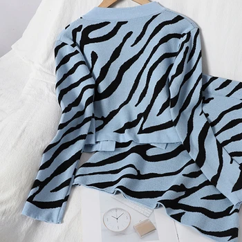 2020 Naujas Mados Zebra Modelis Moterims Dviejų Dalių Rinkinys, Megzti Outwear Cardigan Mini Trumpas Sijonas Prašmatnus Korėjos Kostiumas Mergaičių Apranga Nauja