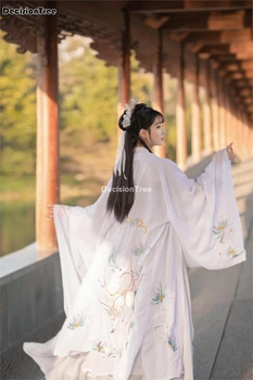 2021 hanfu siuvinėjimo kailis kinijos moterims tradicinių hanfu apsiaustu kostiumas liaudies šokių aprangą derliaus coaplay kostiumas senovės kailis
