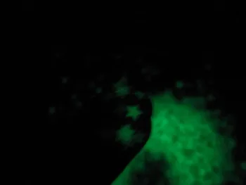 3mm Švyti tamsoje Star Blizgučiai Noctilucent Tirpiklis Atsparus Blizgučiai Dulkių nagų blizgučiai Gelio Nagų Dervos Amatų Apdaila 