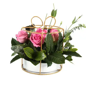 5 Skirtingos Formos Aukso Geometrinis Vaza, Vazonas Šiaurės Stiliaus Gėlių Pakavimas Aukso Nešiojamų Gėlių Krepšelis Namų Kambario Dekoro
