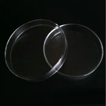 6pcs per daug Aukštos Kokybės 60mm Stiklo Petri Lėkštelę Lab Ląstelių Kultūros Indai su Dangčiu už Mikrobų Auginimas