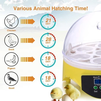 7 Kiaušinių, Vištienos Inkubatorius Paukščių Kiaušiniams Bagažinės Dėklą Kiaušinius Mašina Automatinė Protingas Temperatūros Kontrolės Inkubacijos Brooder