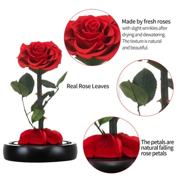 AINYROSE Eternal Rose Grožio ir Žvėrys Rose Amžina Dirbtinių Gėlių LED Stiklo Kupolu, Kalėdų, Valentino Vestuvių Dovana