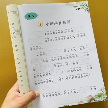 Antros klasės 6 tomai/rinkiniai kalba specialių pratimų, Sinchroninio Praktikos Vadovėlis Kinijos Pamatyti Pinyin parašyti žodžiai HanZi