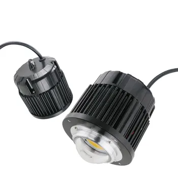 Auginimo Lempos, LED Augti Light100W AC85-265V Visą Spektrą Augalų Apšvietimas Fitolampy Augalai, Gėlių Daigų Auginimas