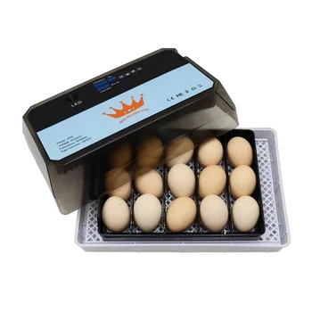 Automatinis Mini Kiaušinių Inkubatorius Brooder Pažangi Skaitmeninės Kiaušinių neapvirstų Inkubatorius, 15 kiaušinių Perinti Vištienos Naminiai paukščiai