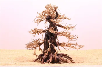 Brazilijos Samanų ir Medžio Gegutė Šaknis Tailandas Filialas Akvariumas bonsai driftwood Moss medis