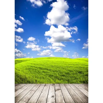 Dangus Žolės Fotografijos Fone Medinių Grindų Backdrops fotosesiją Rekvizitai Vinilo Audinio Atspausdintas Foto Fonas Photophone