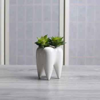 Dantų Formos Keramikos Vazonas Inovacijų Modernaus Dizaino Baltos Keramikos Sultingas Gėlių Vazonas Namų Puošybai 1