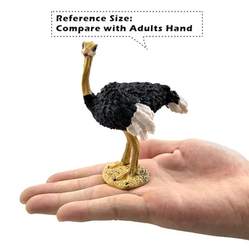 Dirbtinių Paukščių Stručių modelis, Modeliavimas Gyvūnų statulėlės, namų dekoro miniatiūriniai pasakų sodo puošmena priedai šiuolaikinės Pvc žaislas