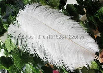 Gamtos balta stručio plunksna 45-50 cm / 18 to20 cm 50 vnt stručio plunksna, vestuvių papuošimai aukštos kokybės kamuolio