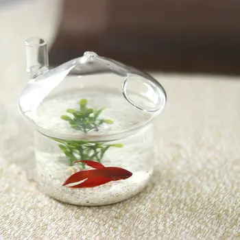 Grybo formos Kabinti Gl Sodinamoji Vaza Rumble Fish Tank Terariumai Konteinerių Sode Dekoras