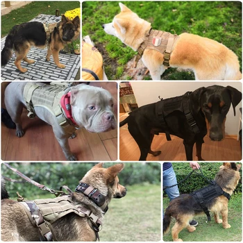 Karinis Taktinis Šuns Pakinktai Priekiniai Įrašą Teisėsaugos K9 Darbo Šunelis Patvarus Vest Mažų Didelių Šunų, Vokiečių Aviganis