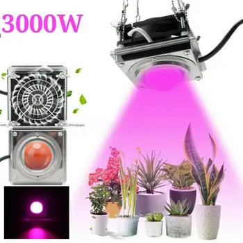 LED Augalų Lempos COB viso Spektro LED Grow Light AC110V 220V Horticole Kambarinių Gėlių Sodinukai Auga Palapinę Lauke