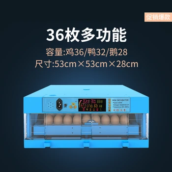 Mini Protingas Kiaušinių Inkubatorius Kinija Vištos Antys Žąsys Daigų Incubadora Pastovios Temperatūros Termostatas už