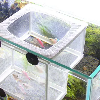 Nukentėjusioji Žuvų Veisimo Inkubatorius Ju Kabo Žuvų Inkubavimo Atskirai Langelį Akvariumas Priedų Atskirai atskirai