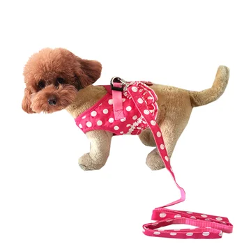 Prabangus Mergina Dizaino Naminių Šunų Krūtinės Diržas Nemokamas Pristatymas Mažas Šuniukas Prekių Lašas Laivybos Pigūs Šunų Reikmenys