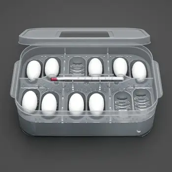 Roplių Skirta Inkubatorius 12 Tinklai Kiaušinių Hatcher Dėžutė su Termometru Skaidrus Varliagyviai Kiaušinius, Dėklas