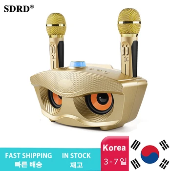 SD306 Nešiojamų Šeimos Karaokė Sistema, Du bevieliai Mikrofonai Su 20w Stereo 