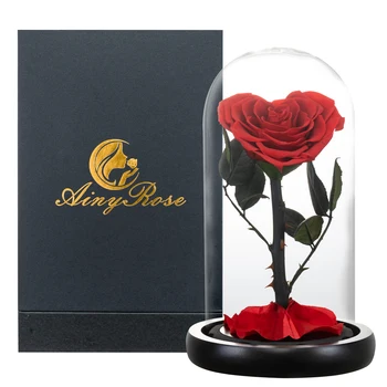 Širdies Formos Konservuoti Rožių Grožio ir Žvėrys Eternal Rose Stiklo Kupolas Vestuvių Dirbtinės Gėlės Valentino Kalėdų Dovana