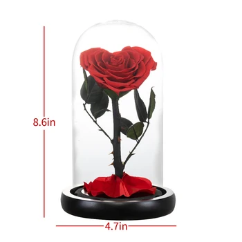 Širdies Formos Konservuoti Rožių Grožio ir Žvėrys Eternal Rose Stiklo Kupolas Vestuvių Dirbtinės Gėlės Valentino Kalėdų Dovana