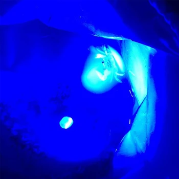 10000 Liumenų Mėlyna/Raudona/UV/Žalia Taktinis Medžioklės Fakelas Nešiojamų Pilka Vandeniui Ginklas Pistoletas Žiburiai 1 Režimas