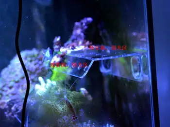 BIS fito plius koralų frag stovas laikiklis mini nano stiprus magnetas nustatyti žuvų akvariumas rifas bakas nuožulniąja plokštuma