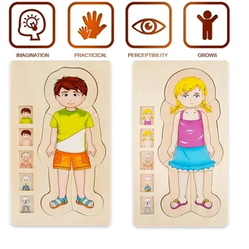 Berniukų ir Mergaičių Kūno Struktūrą, ankstyvojo ugdymo mokymo priemonių Dėlionė žvalgybos žaislai vaikams 3-4 metų