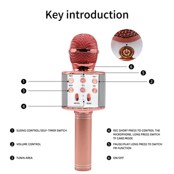 Bevielis Karaoke Mikrofonas LED Žibintai, 