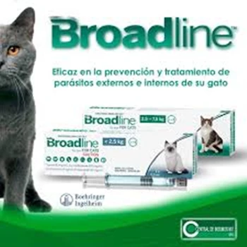 Broadline Vietoje Tirpalas Katėms