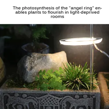 LED Grow Light Visą Spektrą Fito Augti Lempa USB Phytolamp Augalai, 5V Lempa Augalų Augimą, Apšvietimas, dekoratyviniai augalai