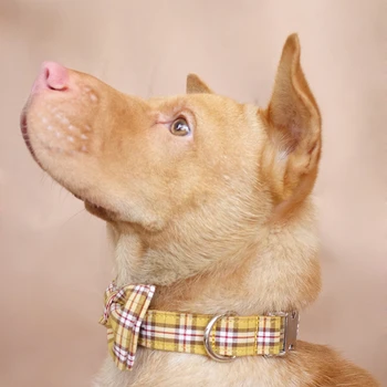 MUTTCO mažmeninės prekybos graviruotas šunų antkaklis su individualizuotas lentele minkštas šuo apykaklės, rankų darbo CITRINOS PLEDAS 5 dydžių apykaklės UDC057
