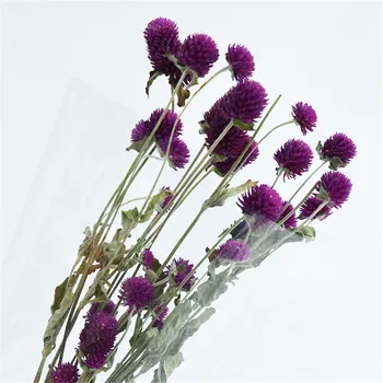 NEMOKAMAS PRISTATYMAS 15vnt Violetinė natūralių gėlių puokštėms, džiovintos puokštės gomphrena
