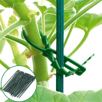 Reguliuojamas Plastikinio Augalų Kabelinių Ryšių Sodo Įrankius, Daugkartinio Naudojimo Laikiklis Dirželiams Medžio Laipiojimo Paramą Sodo Augalų Puodą Gėlių, Augalų Kaklaraištis