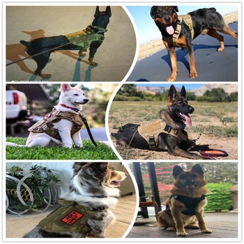 Taktinis Šuns Pakinktai Pet Mokymo Medžioklės Šunį Vest Metalo Sagtis Vokiečių Aviganis Diržai Su Pavadėliu Mažųjų Dideli Šunys