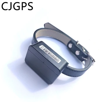 Šunys Pet Mini GPS Seklys Locator Anti-theft Sekimo Anti-Lost Įrašymo Sekimo Įrenginys Balso GSM GPRS WIFI 1000 mA 7 dienas