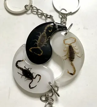 12 vnt Nekilnojamojo Vabzdžių Key Chain - Nauja Scorpion Keychain Maišą Automobilio Raktų Žiedas priedai