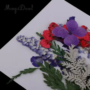 2 Pack Kelis Gražus Nekilnojamojo Paspaudus Gėlių, Džiovintų Gėlių Meno Amatų Scrapbooking Sakai Papuošalai Priėmimo 
