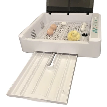 36 Kiaušinių Inkubatorius, Automatinė Kiaušinių Inkubatorius Paukščių Hatcher Skaitmeninių Ekranų LED Temperatūros Valdymo Tekinimo Šviesos Viščiukų