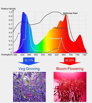 5000W Visą Spektrą vidaus LED Grow Lempa Augalų Auginimo Šviesos Palapinėje Fitolampy Fito UV SPINDULIŲ Raudona Mėlyna 256 Led Gėlių 85-265V