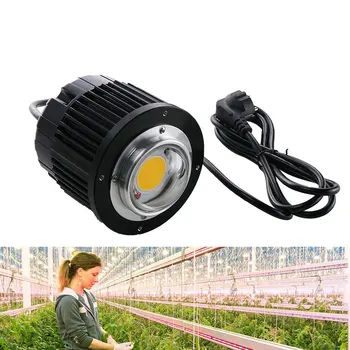 Auginimo Lempos, LED Augti Light100W AC85-265V Visą Spektrą Augalų Apšvietimas Fitolampy Augalai, Gėlių Daigų Auginimas