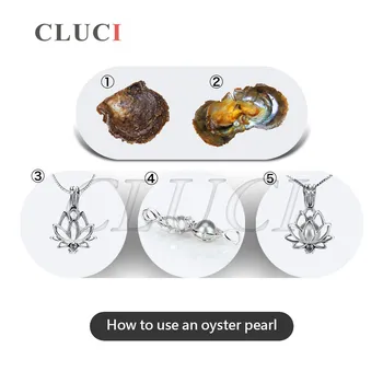 CLUCI 6-7mm apvalus akoya austrės su apvalūs perlai, pilkos spalvos 30pcs/pak, natūralių perlų karoliukai už kaklo ir moterų WP062SB