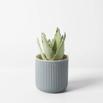 Dryžuotas keraminiai puodai sultingi augalų vazonuose macetas decorativas ceramica tiestos para plantas Mini stalo dekoro vazonas kaktusas puodą
