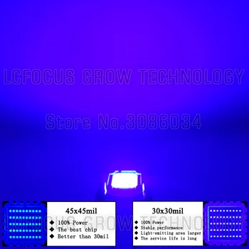High Power LED Chip 30W Royal Blue 440nm 470nm 