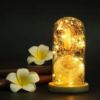 Kūrybos Naktį Šviesos Gypsophila Džiovintų Gėlių Stiklas Padengtas Led Žibintai, Apdailos Micro Kraštovaizdžio Vestuvių, Gimtadienio Dovanos