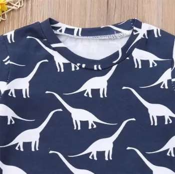 Lioraitiin Naujagimis Vaikas Berniuko Drabužių Dinozaurų Long Sleeve T Shirt Viršuje+Kelnės, Antblauzdžiai Komplektai Rinkinys