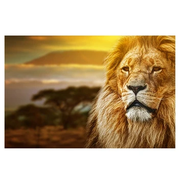 Modernus Gyvūnų Kraštovaizdžio Liūtas Nuotraukas Drobė, Tapyba, Plakatų Ir Grafikos Sienos Menas Nuotraukas Kambarį Dekoro Cuadros