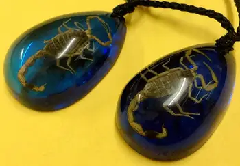 NEMOKAMAS PRISTATYMAS yqtdmy 12 vnt Asmenybės aukso skorpionas magic blue lašas pakabukas