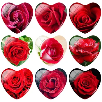 TAFREE Raudona Rožė Gėlių MĖGĖJAI Širdies Nuotrauka, 25 mm, 5 vnt Stiklo Cabochon Modelis Papuošalai Padaryti išvadas RS01